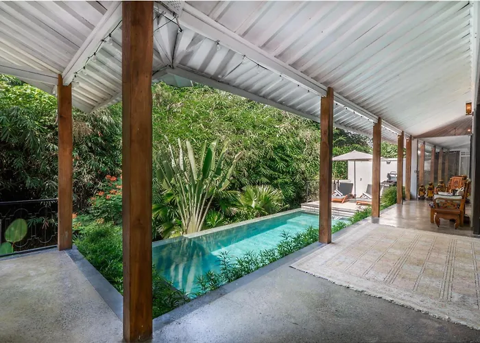 Little Sanctuary - Pool - Cat - Heart Of